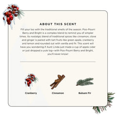 Berry and Bright Bow n' Go - Poo~Pourri Toilet Spray